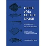 fishes of the gulf of maine fishery bulletin