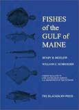 Fishes of the Gulf of Maine (Fishery bulletin)