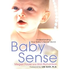 Baby Sense: Understanding Your Baby's Secret World