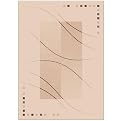 Stainmaster® Caliente Rug Collection - Alabaster