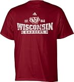 Wisconsin Badgers Revered Distressed T-Shirt