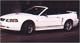 1999-04 Mustang Rear Bumper Decal - BLACK