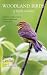 Book Woodland Birds of North America: A Guide to Observion, Understanding and Conservation