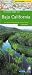 Book The Rough Guide to Baja California Map (Rough Guide Country/Region Map)