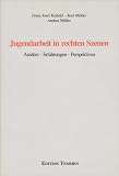 Jugendarbeit in rechten Szenen - Ans&auml;tze, Erfahrungen, Perspektiven - Franz Josef Krafeld, Kurt M&ouml;ller, Andrea M&uuml;ller