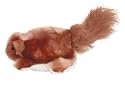 KONG Squirrel Dog Toy, Large, Brown