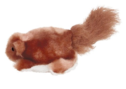 Large Squirrel