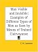 Man Visible and Invisible: Examples of Different Types of Men as Seen by Means of Trained Clairvoyance