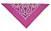 Sporting Goods : Bandanna Fucshia