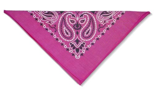 Childrens Toyshop  Sporting Goods : Bandanna Fucshia