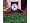 Boston Red Sox Garden / Window Flag