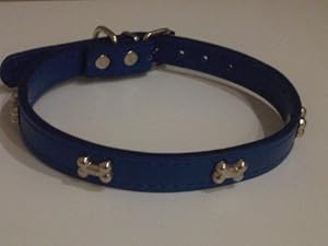 pet supplies dogs collars harnesses leads basic collars pet supplies dogs collars harnesses leads basic collars