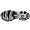 ASICS Men's GEL-Cumulus 11 Running Shoe