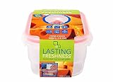 UPC 782294101013 product image for Lasting Freshness, Vacuum Seal Food Storage; 500mL/ 18 oz, Rectangle | upcitemdb.com
