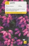 Teach Yourself Gaelic (TY Complete Courses)