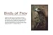 Marty Stouffer s Wild America Birds of Prey