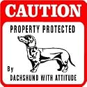 CAUTION: DACHSHUND PROTECTION dog sign