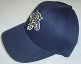Reebok Florida Panthers Navy Blue Basic Logo Adjustable Hat