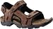 Men's Timberland Chocorua Sandal