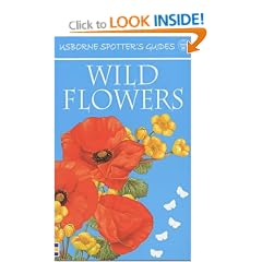 Wild Flowers (Usborne New Spotters' Guides)
