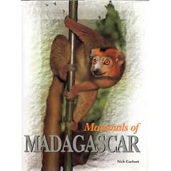 Mammals of Madagascar