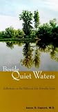 Beside Quiet Waters: Reflections on the Psalms in Our Everyday Lives James D. Capozzi