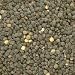 FRENCH GREEN LENTILS Organic lentils can be used in casseroles, soups and salads. Try them as a salad with oven roasted vegetables and garlic. Dress with balsamic vinegar, olive oil and seasoning. Organic Lentils come from selected farms, which work according to strict EC regulations for organic agriculture. This means no artificial fertilizers or chemical pesticides are used - the environment is being protected and the natural balance stays intact. Organic certification. Our collection of lentils comes in a wide variety of Red, Green, Yellow, French green and Ivory lentils. Choose the type that appeals the most to you and begin your journey to natural wellness!