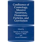 Click here to buy Confluence of Cosmology, Massive Neutrinos, Elementary Particles, and Gravitation by  Behram N. Kursunogammalu, Stephan L. Mintz, and Arnold Perlmutter.