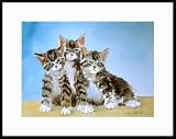 Three Kittens by Drew Strouble