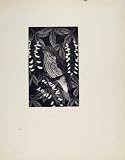 ARTIST DESCRIBED LIMITED PRINT SPOTTED FLYCATCHER BIRDS