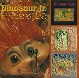 Fossils