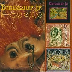 Fossils