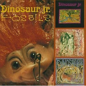 Fossils