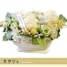 �y���b�s���O�����E���b�Z�[�W�z�y�v���U�[�u�h�t�����[�zPanie�E�p�j�G/�G�N����