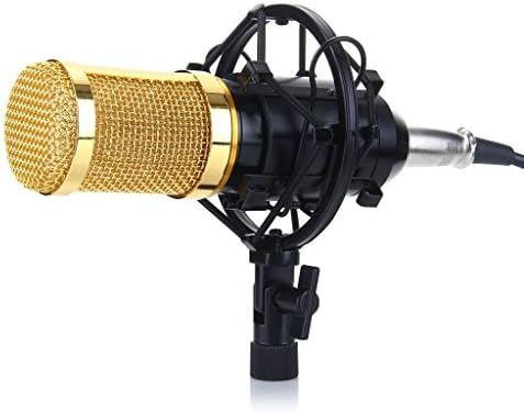 Shengyue BM-800 Professional Cardioid Condenser Broadcasting Studio Recording Microphone + Anti-shock Mount + Anti-wind Foam Cap (Black-Gold)