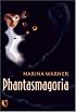 Phantasmagoria: Spirit Visions, Metaphors, and Media