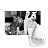 Snoopy the six week old squirrel with his.. - Tea Towel 100% Cotton - Art247 - Tea Towel - 46x70cm