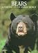 Book Bears: A Portrait of the Animal World (Portraits of the Animal World)
