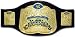 WWE Tag Team Championship Wrestling Belt