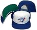 Toronto Blue Jays Two Tone Pro Model Plastic Snapback Adjustable Snap Back Hat / Cap