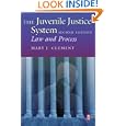 The Juvenile Justice System, Second Edition: Law and Practice by Mary Clement JD; MSW; PhD