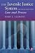 Book Juvenile Justice System: Law and Process