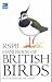 RSPB Handbook of British Birds : (Ornithology) :