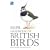 RSPB Handbook of British Birds : (Ornithology) :
