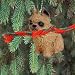 Brussels Griffon Red Ornament
