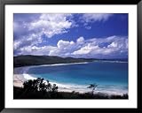 Purchase Puerto Rico Art