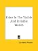 Color in the Visible and Invisible Worlds