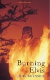 Burning Elvis