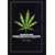 European Cannabis Cultivation: A Complete Growers Guide