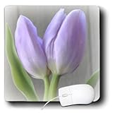 Patricia Sanders Flowers - Sweet Lavender Tulips- Flowers- Easter- Photography - MousePad (mp_33793_1)